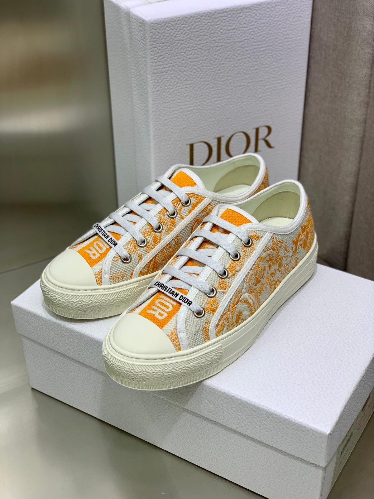 Dior 2026 Walk'n'Dior Sneakers Canvas Lace 966616