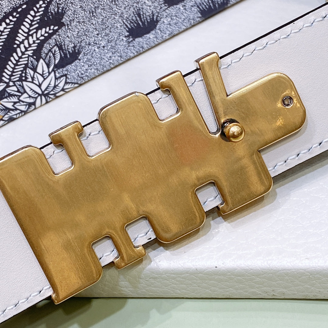 Dior 2026 D-Fence Reversible Belt 3.0cm Calfskin