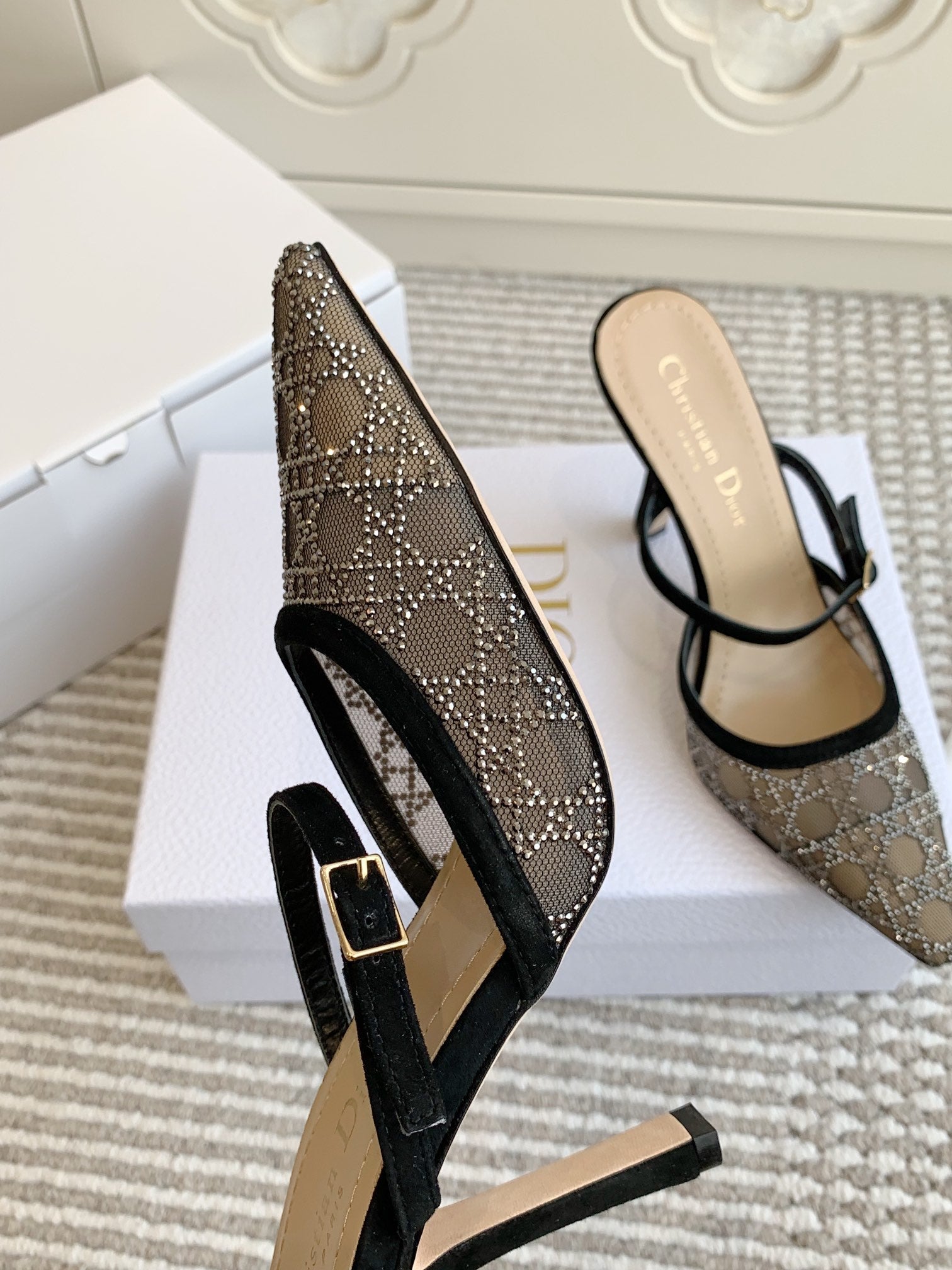 Dior 2026 Capture Heeled Mule 100mm Mesh 884749
