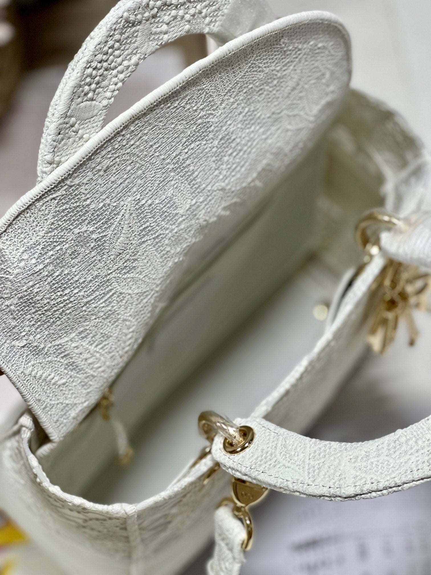 CD Mesh White 24 Lady Dior Bag Canvas 336703