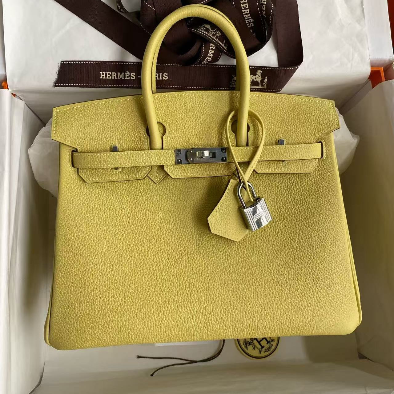 Hermes 2026 Birkin Bag 25cm Yellow Togo Leather Silver Hardware