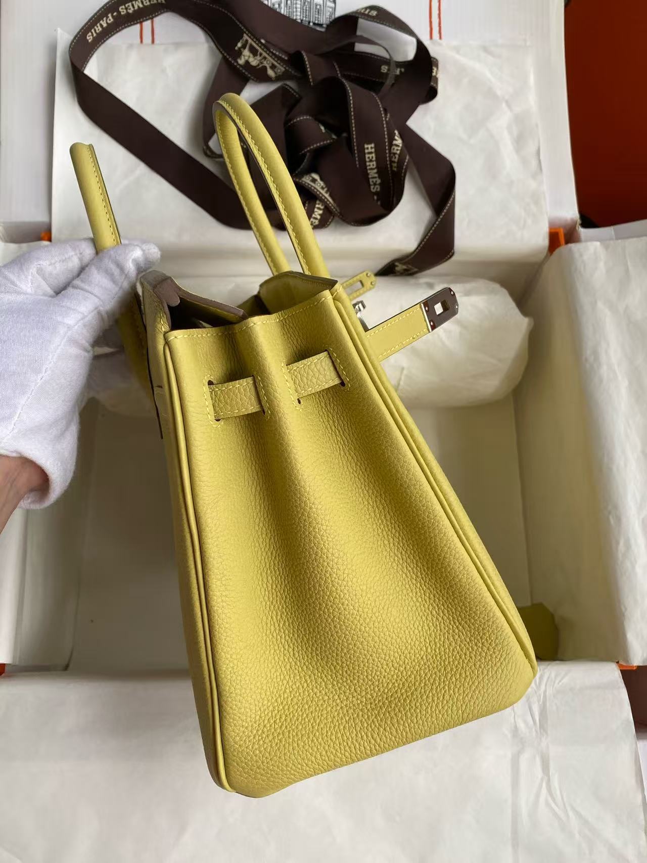 Hermes 2026 Birkin Bag 25cm Yellow Togo Leather Silver Hardware