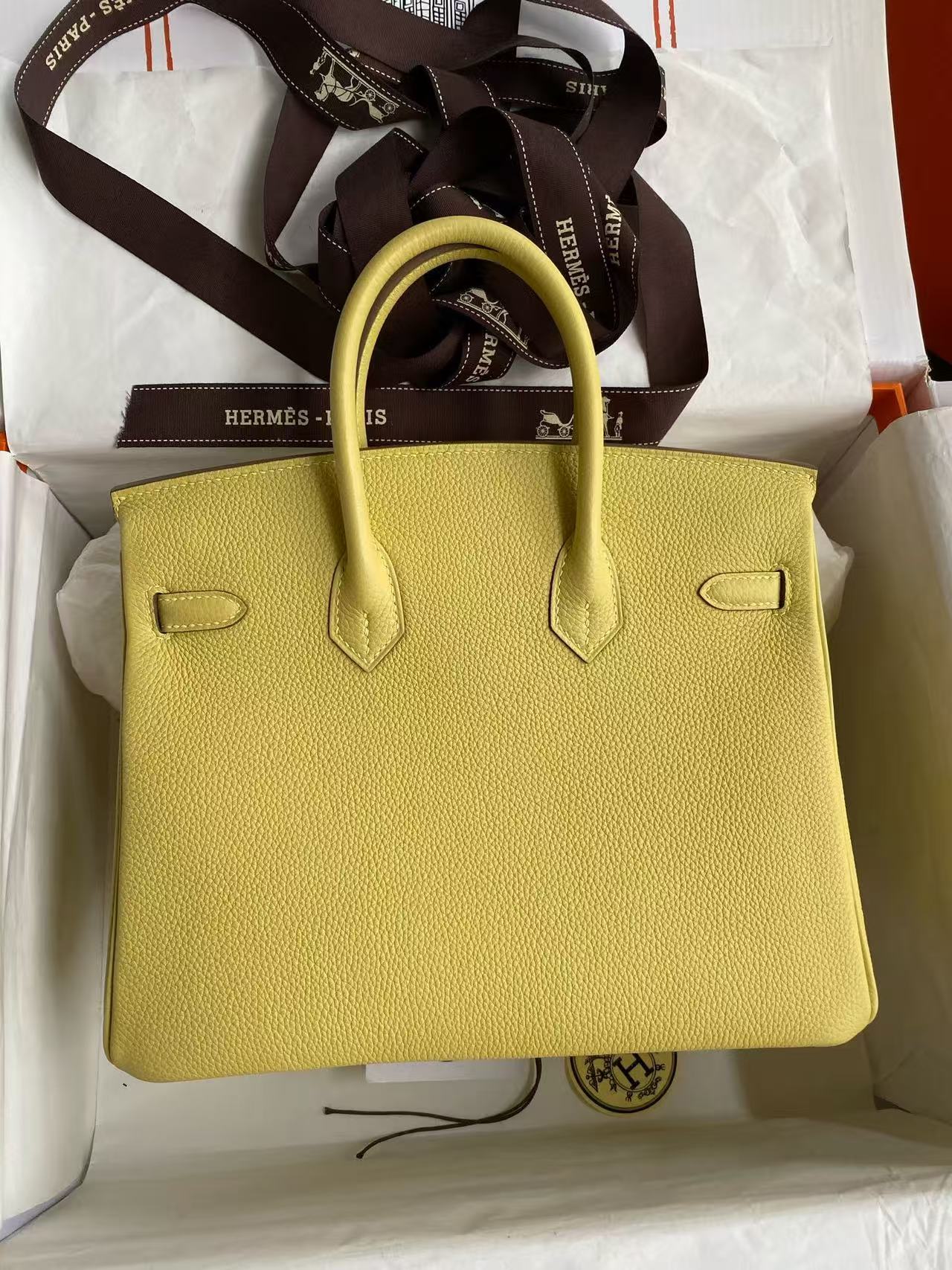 Hermes 2026 Birkin Bag 25cm Yellow Togo Leather Silver Hardware
