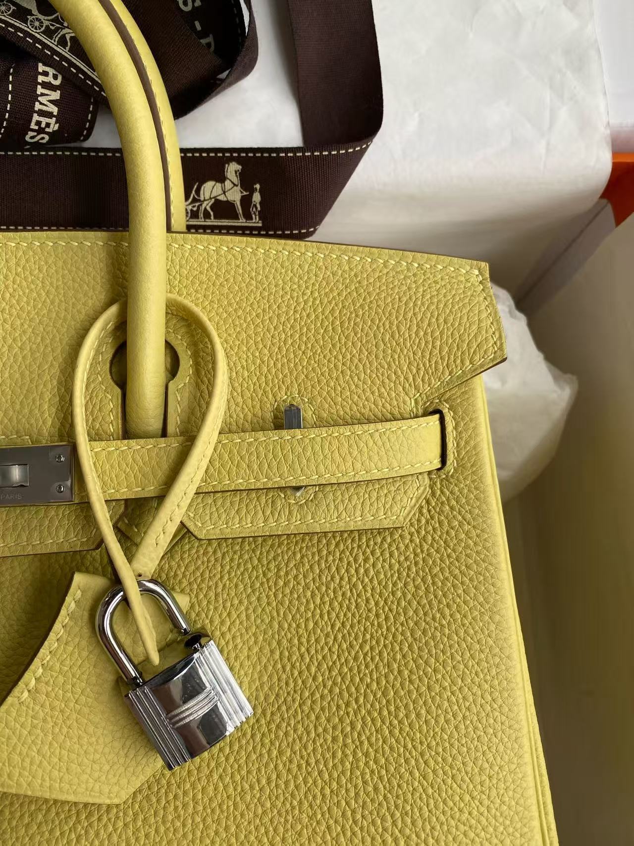 Hermes 2026 Birkin Bag 25cm Yellow Togo Leather Silver Hardware