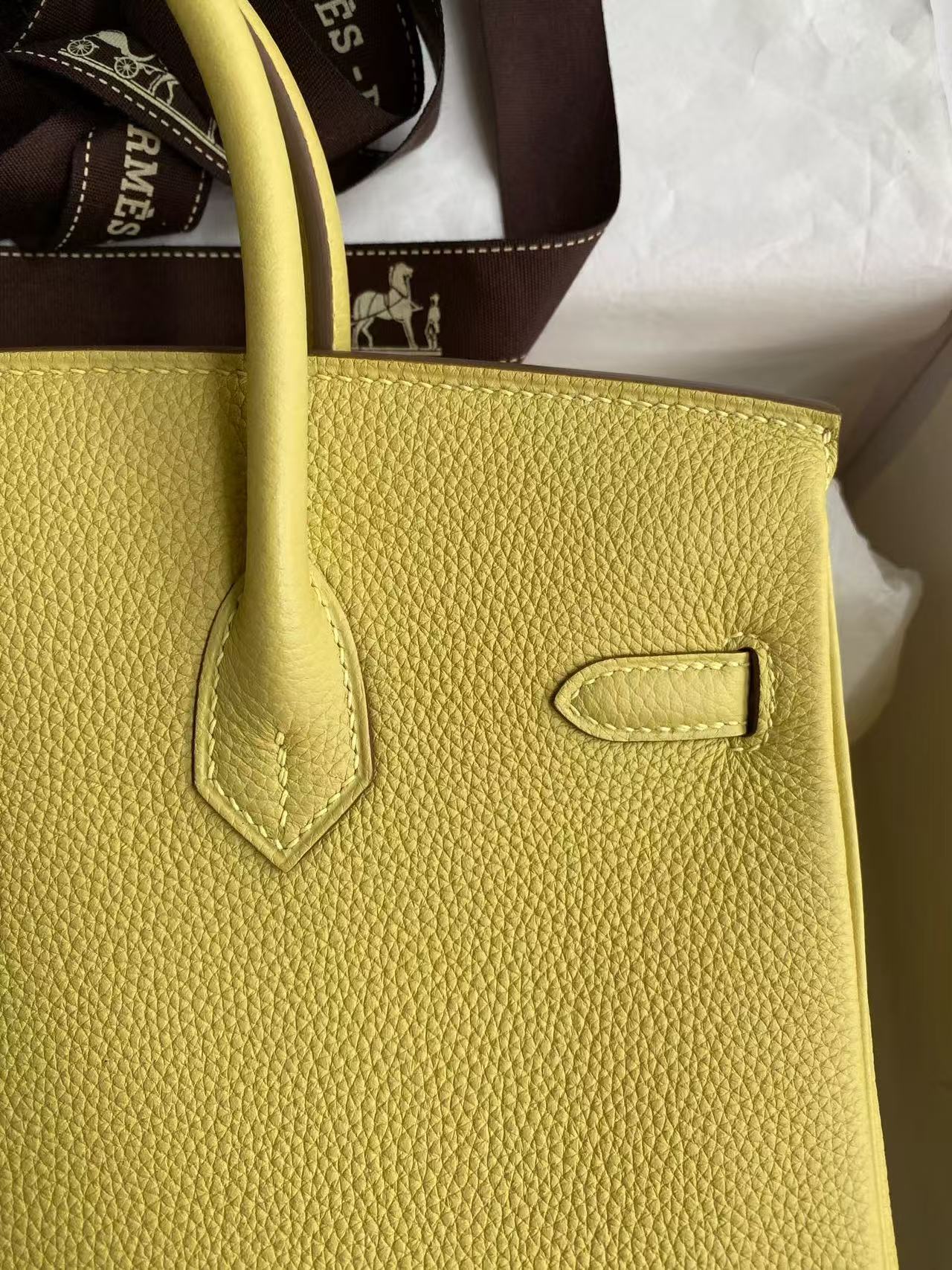 Hermes 2026 Birkin Bag 25cm Yellow Togo Leather Silver Hardware