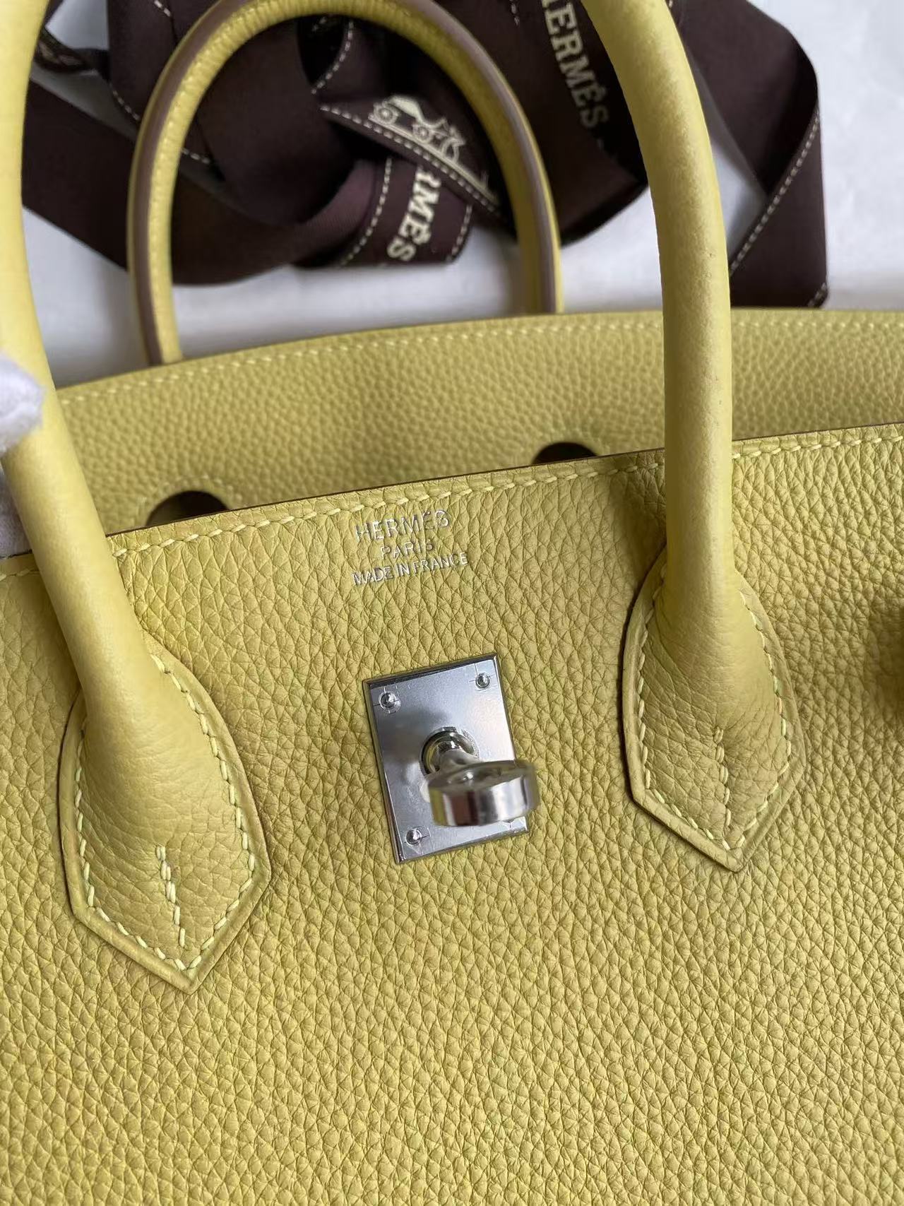 Hermes 2026 Birkin Bag 25cm Yellow Togo Leather Silver Hardware