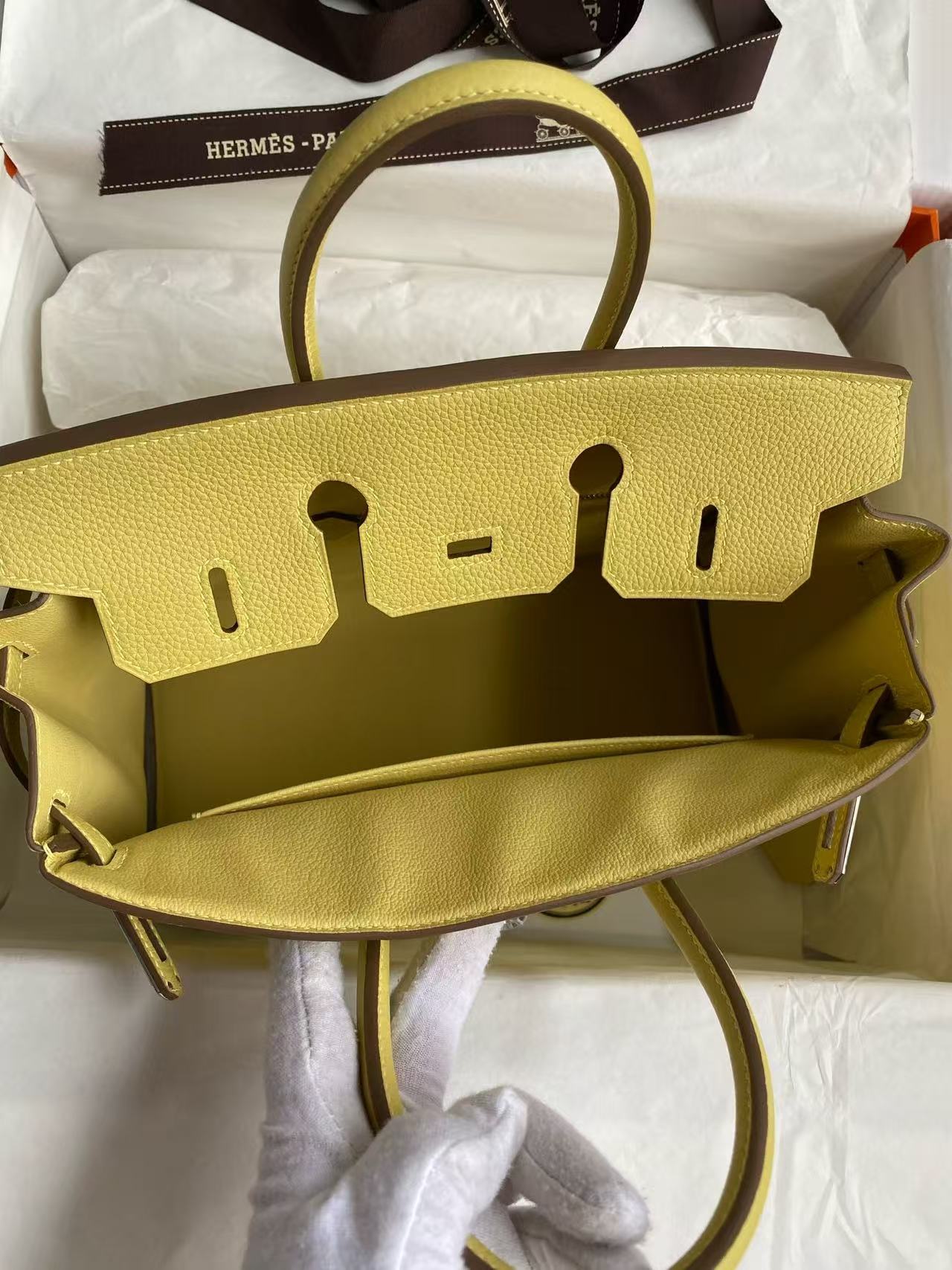 Hermes 2026 Birkin Bag 25cm Yellow Togo Leather Silver Hardware