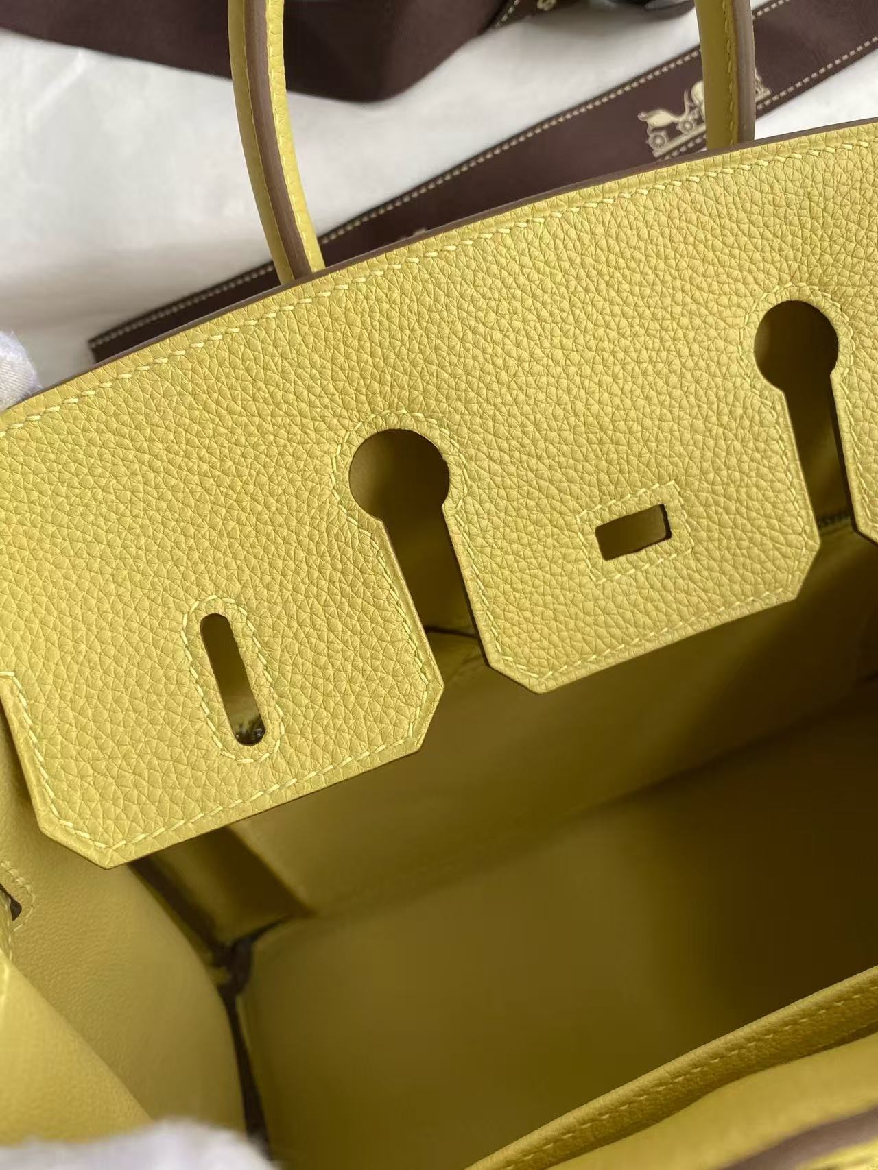 Hermes 2026 Birkin Bag 25cm Yellow Togo Leather Silver Hardware