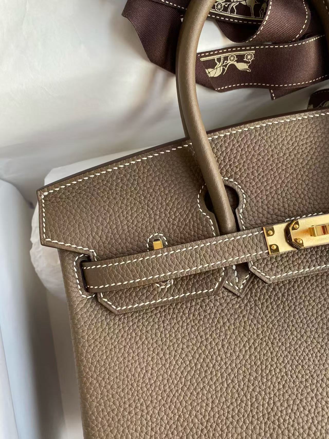 Hermes 2026 Birkin 25cm Etoupe Togo Leather Best Version