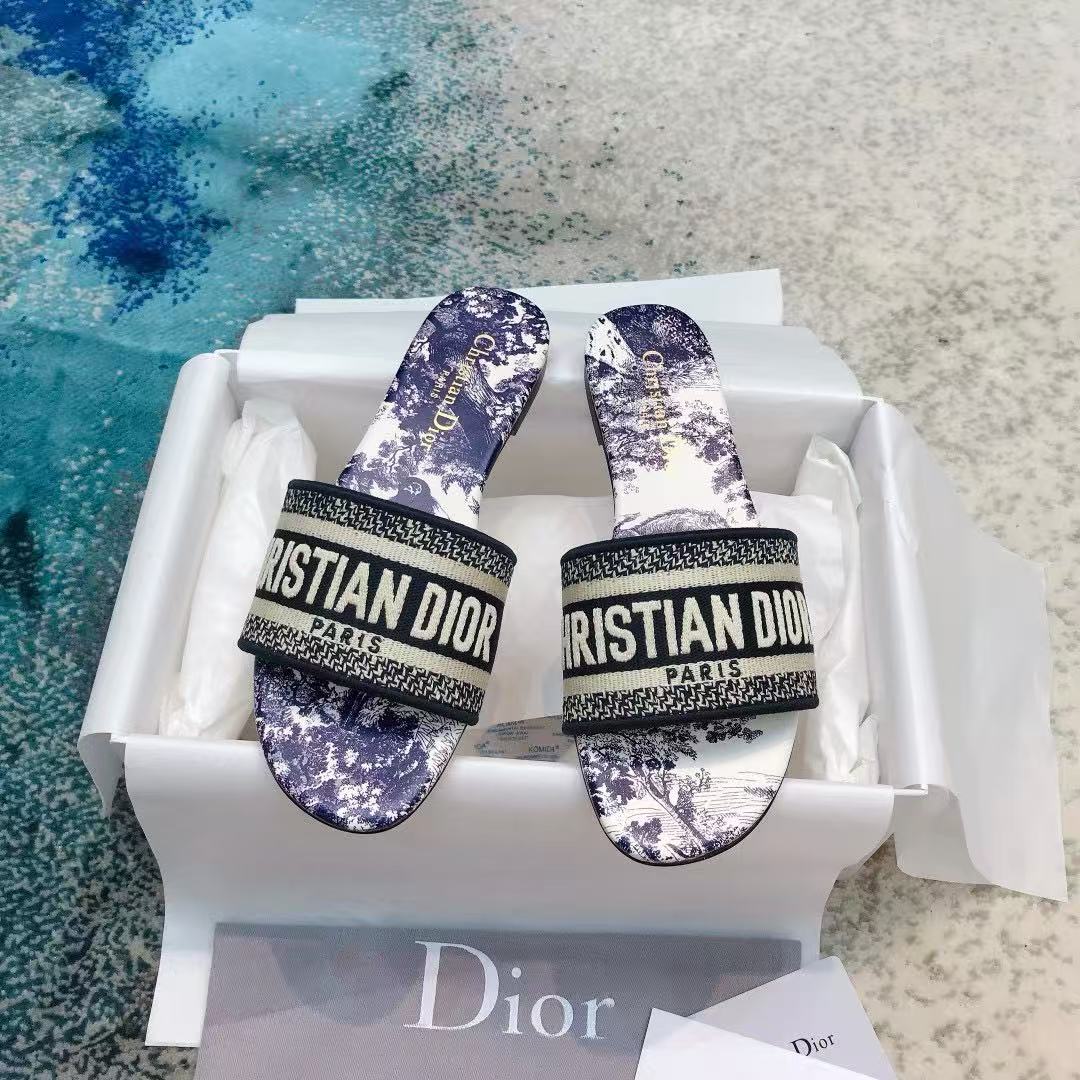 Dior 2026 Dway Slide Toile de Jouy Motif Vibrant Blue Cotton Leather