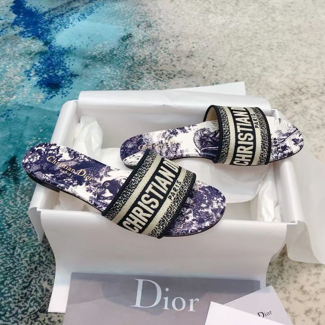 Dior 2026 Dway Slide Toile de Jouy Motif Vibrant Blue Cotton Leather