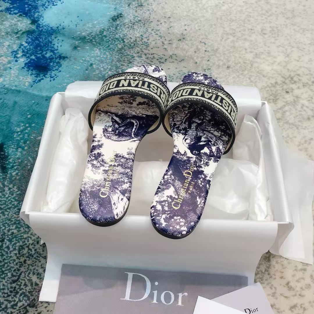 Dior 2026 Dway Slide Toile de Jouy Motif Vibrant Blue Cotton Leather