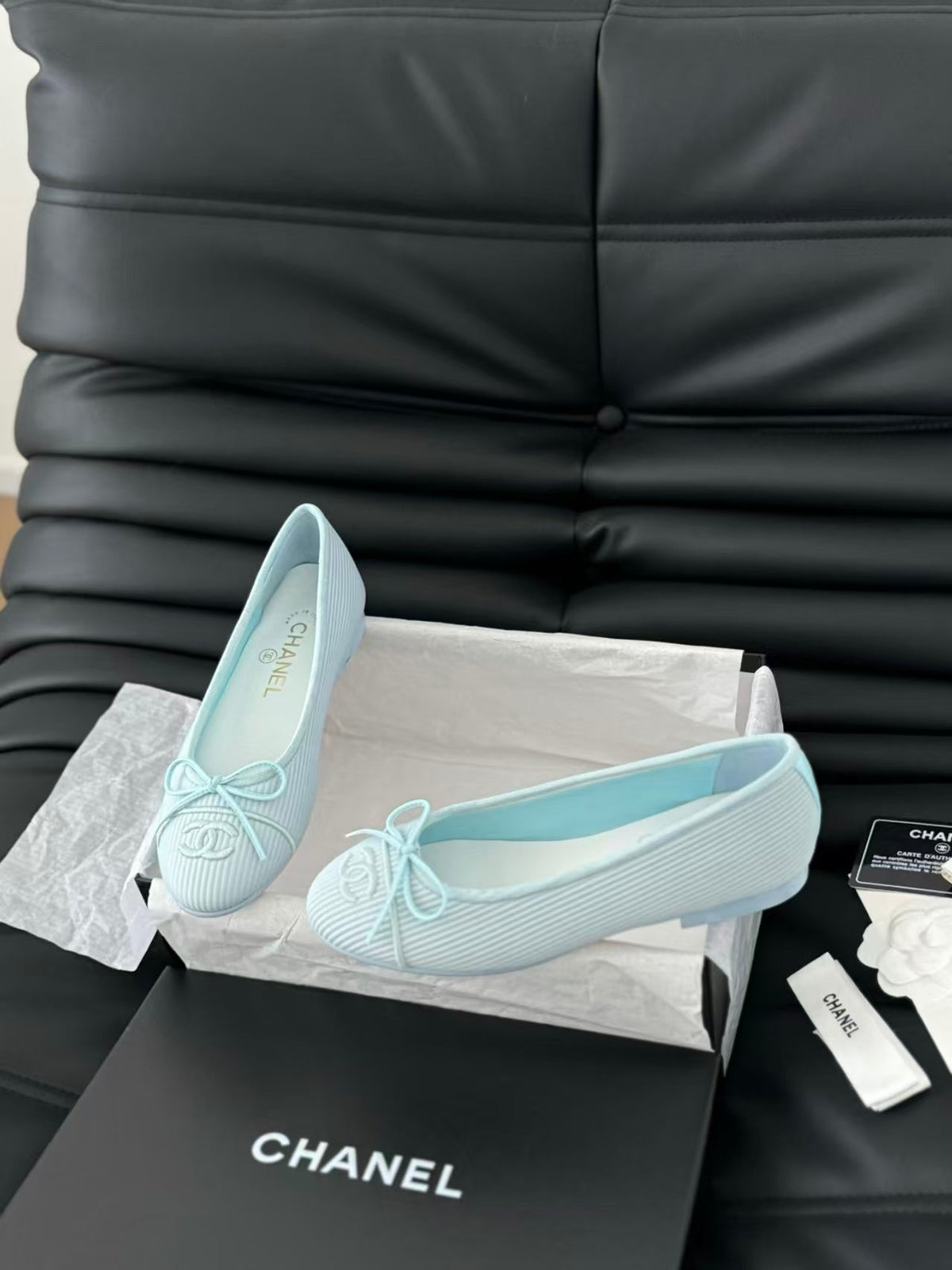 Chanel 2026 Embroidered Ballet Flat Fabric