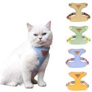 Harnais + Laisse contrôle facile marche et évasion SIMPLY