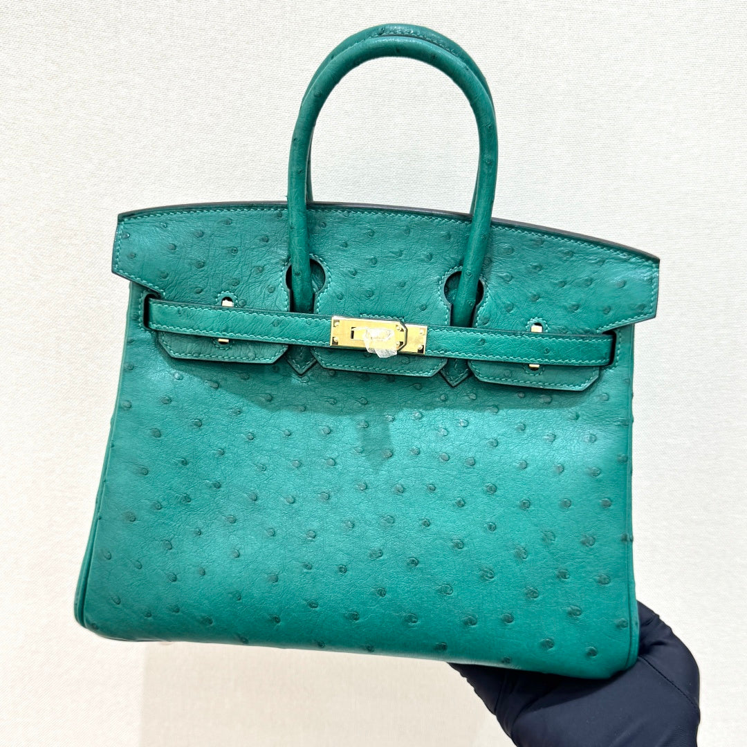 High-end Hermes 2026 Birkin 25cm Ostrich Leather