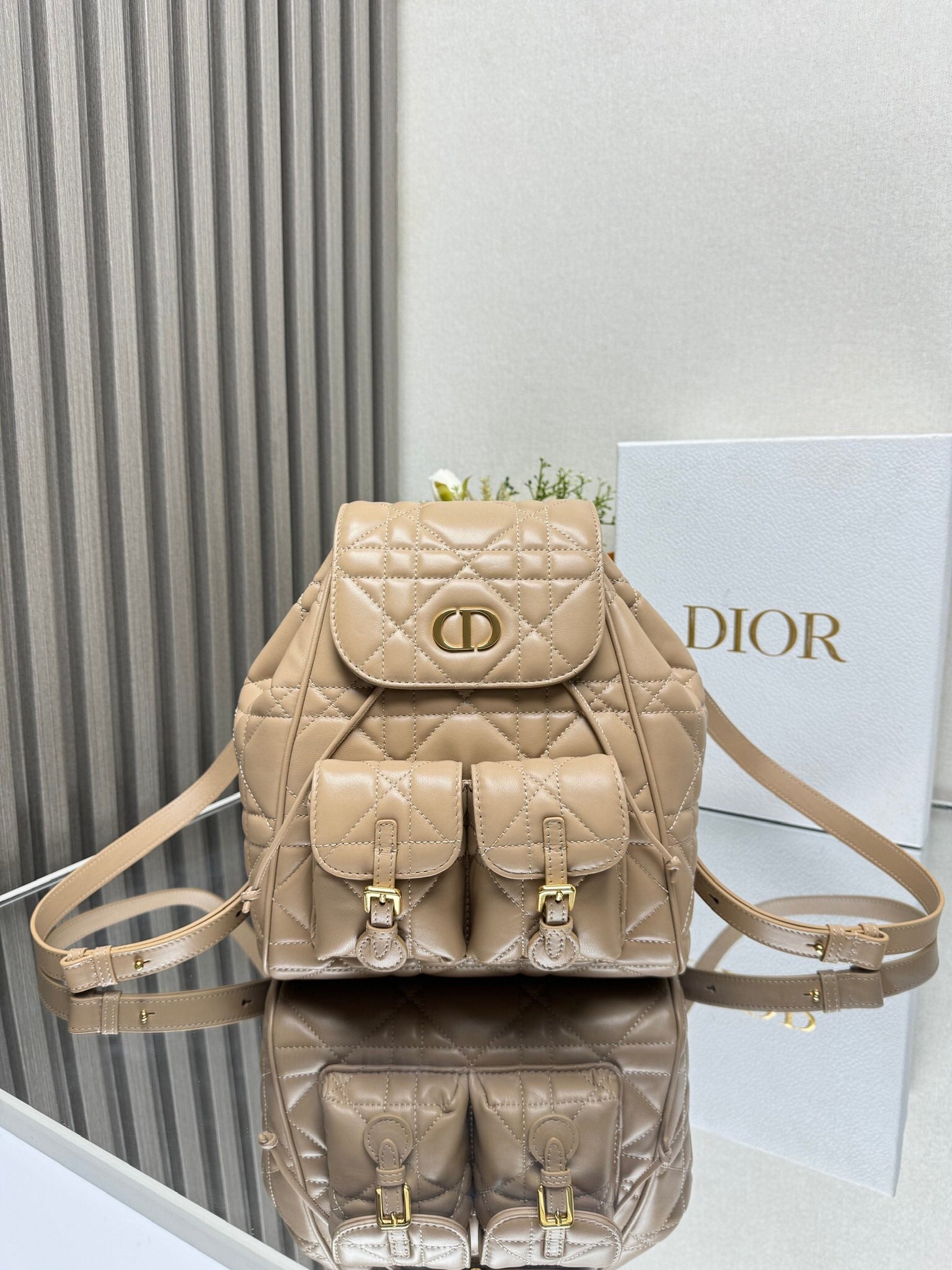Dior 2026 Caro Backpack Lambskin