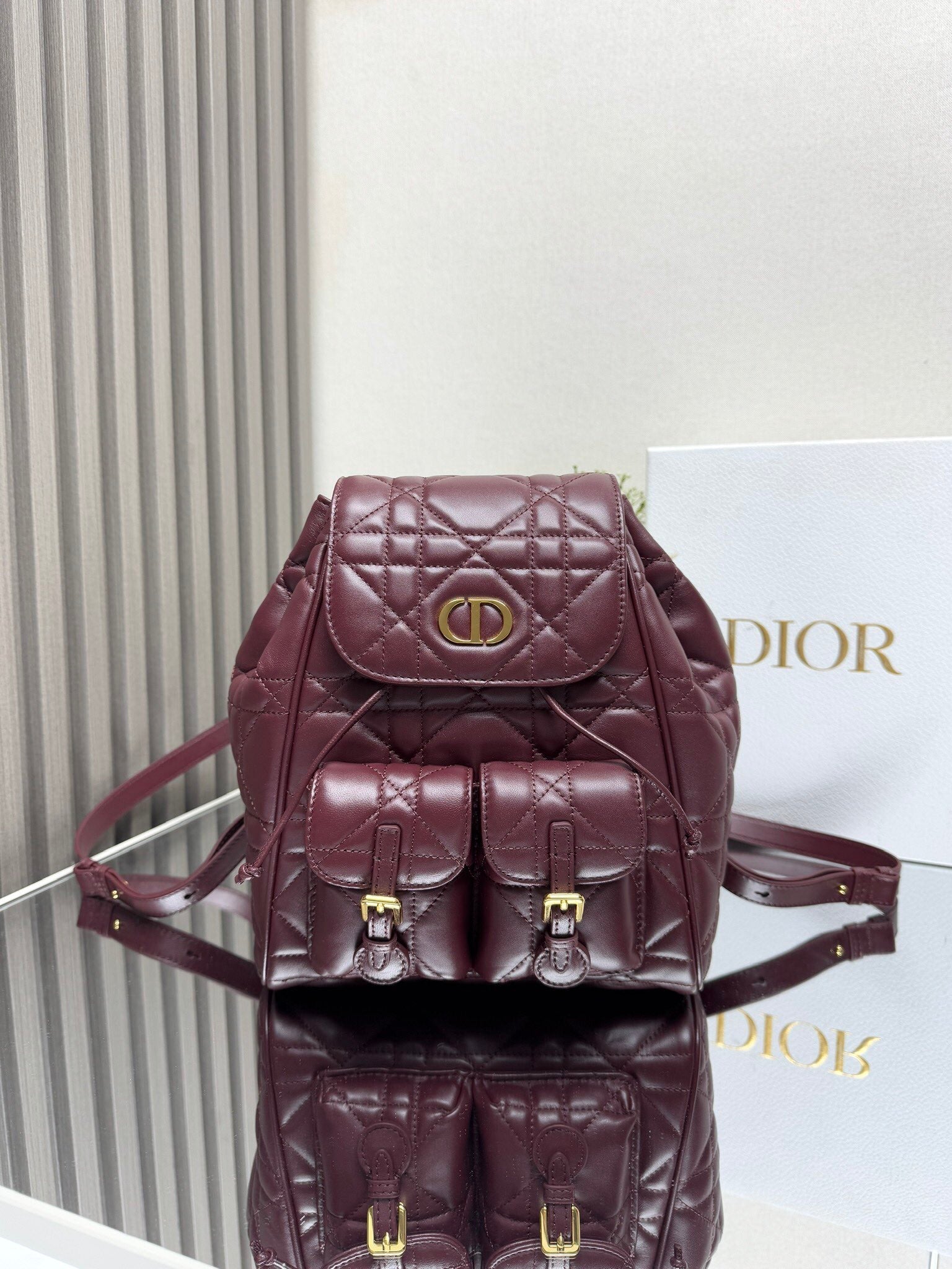 Dior 2026 Caro Backpack Lambskin