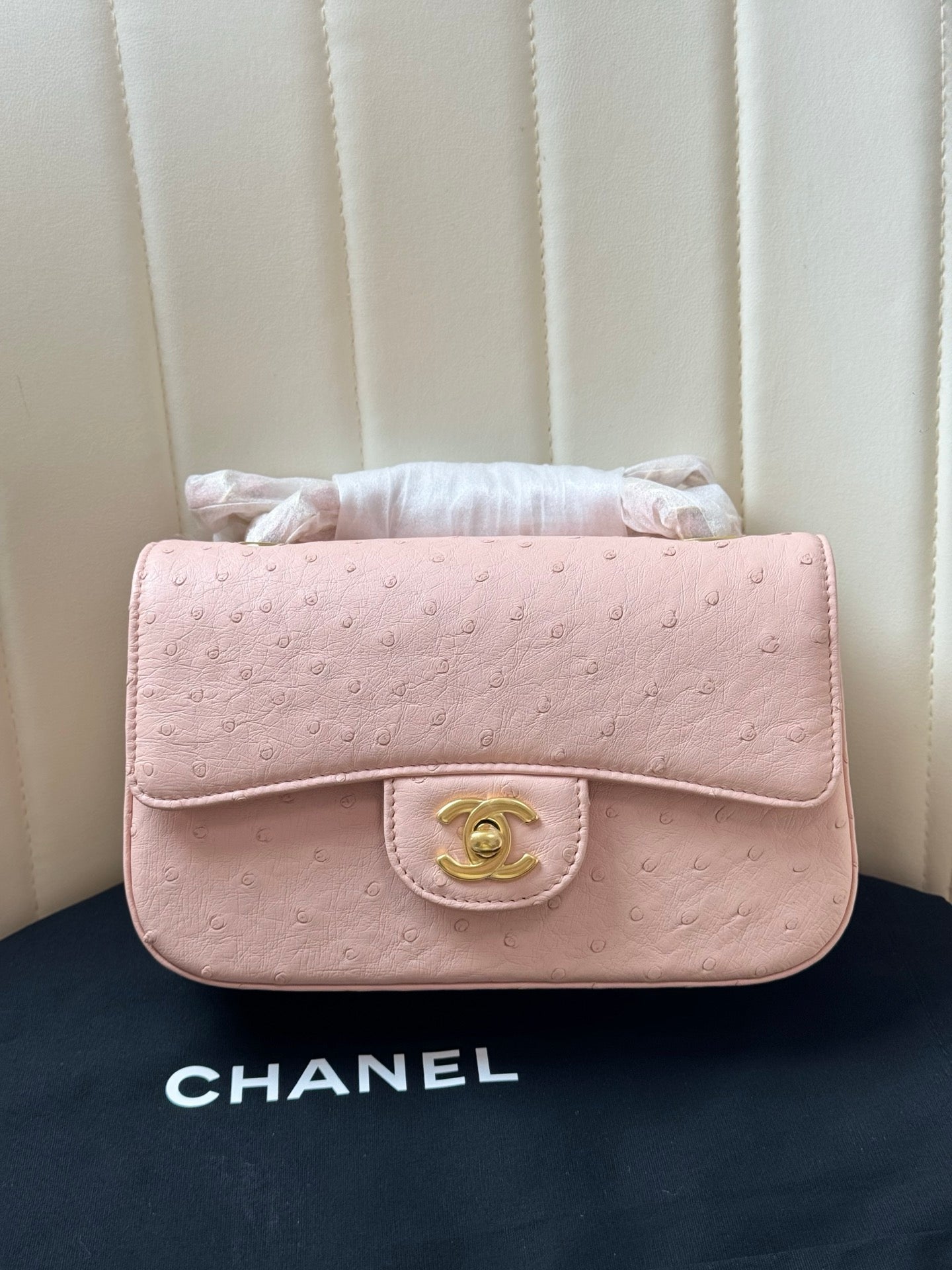 Chanel 2026 Flap Ostrich Embossed Bag 20cm Leather