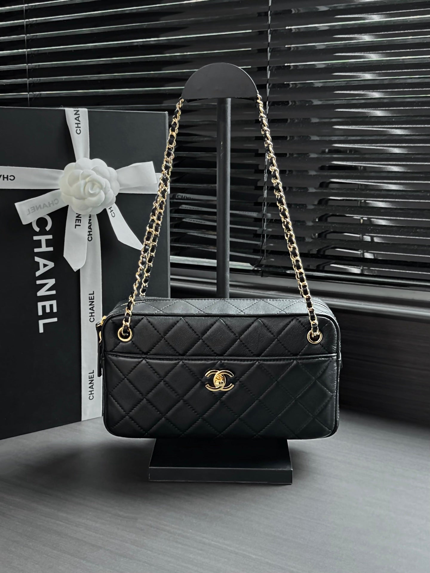 Chanel 2026 Camera Bag 24.5cm Suede Lambskin