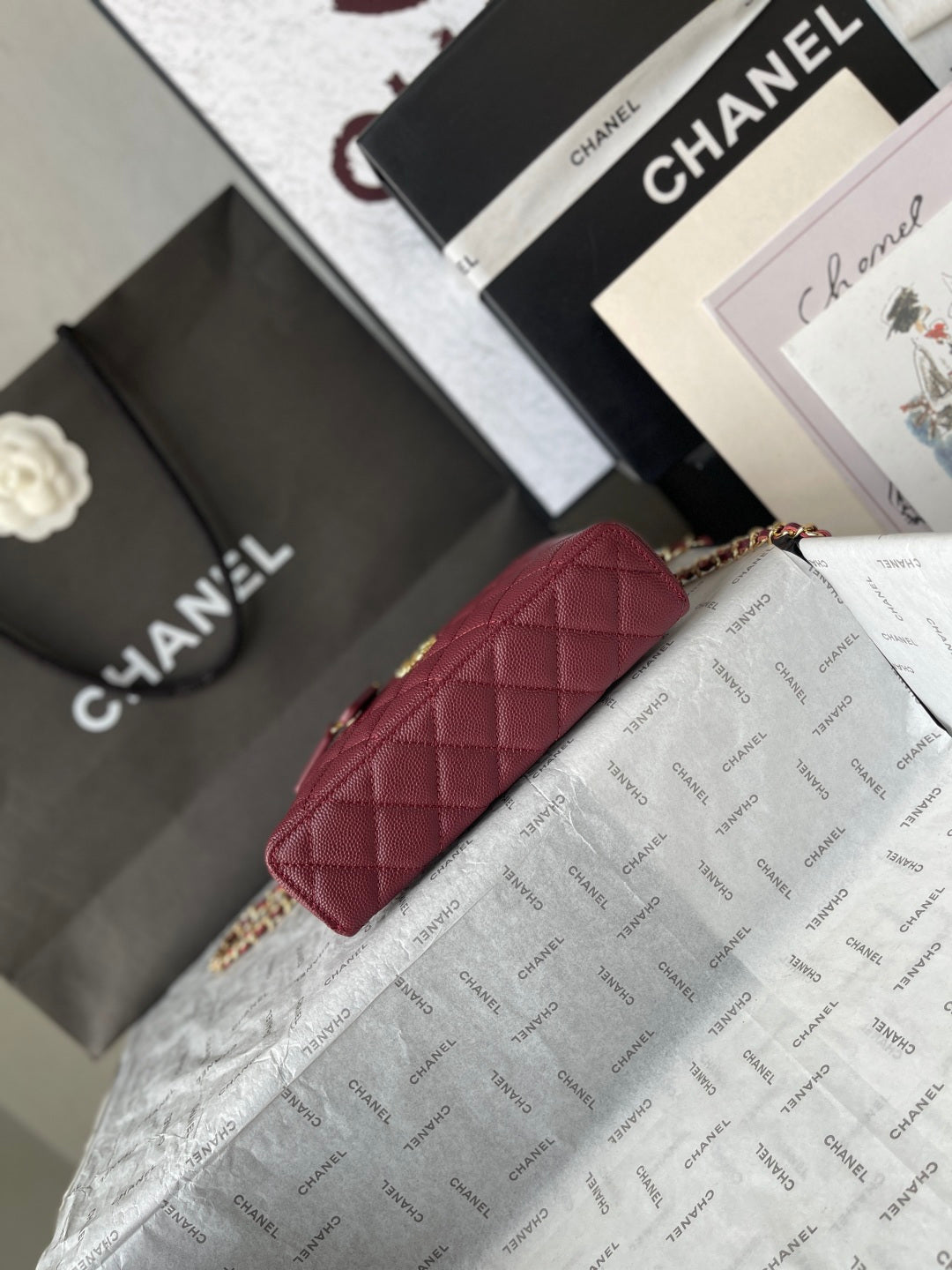 Chanel 2026 Vanity Bag 19.5cm Burgundy Leather