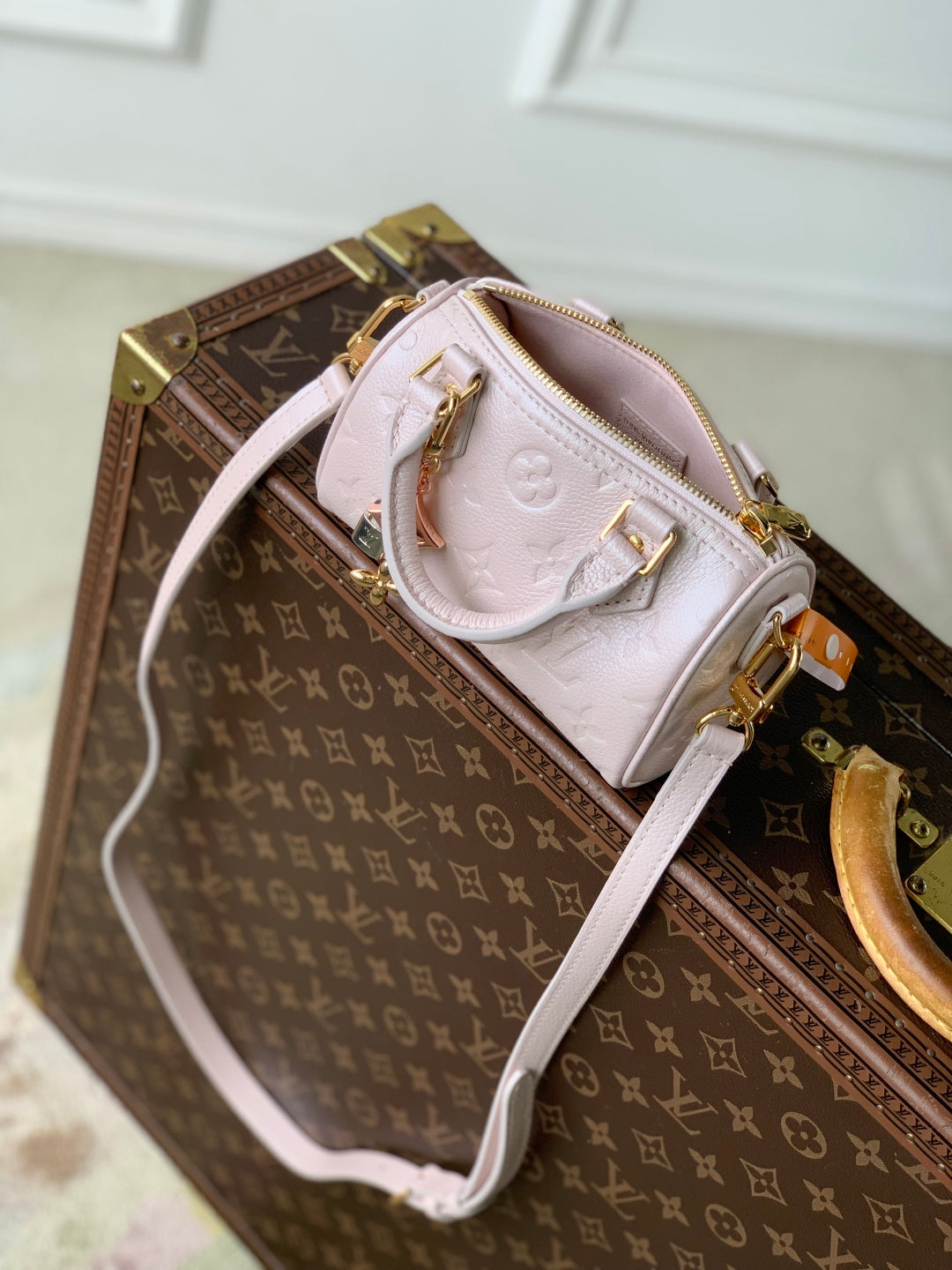 LV 2025 Nano Speedy Bag 16cm Pink Calfskin 346575