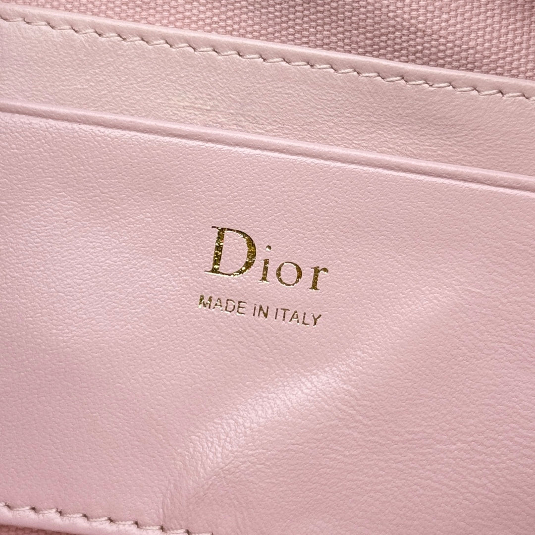 Dior 2026 Bow Pouch Bag 20cm Canvas