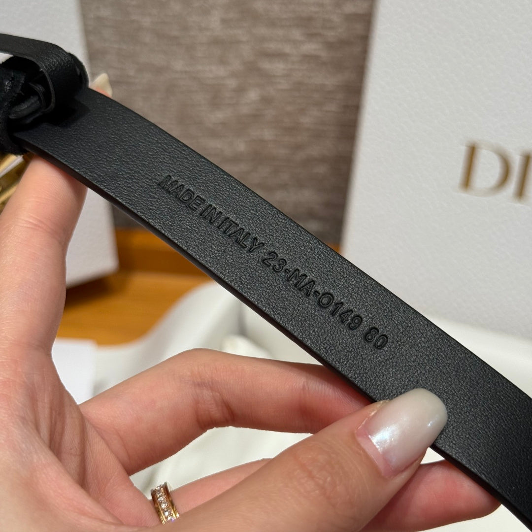 Dior 2026 CD Buckle Belt 20mm Suede 193832
