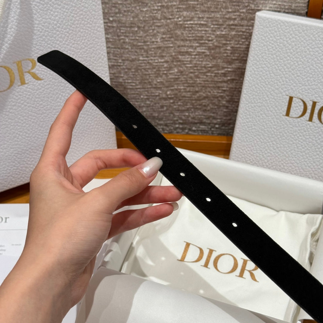 Dior 2026 Rhinestone CD Buckle Belt 20mm Suede 193831