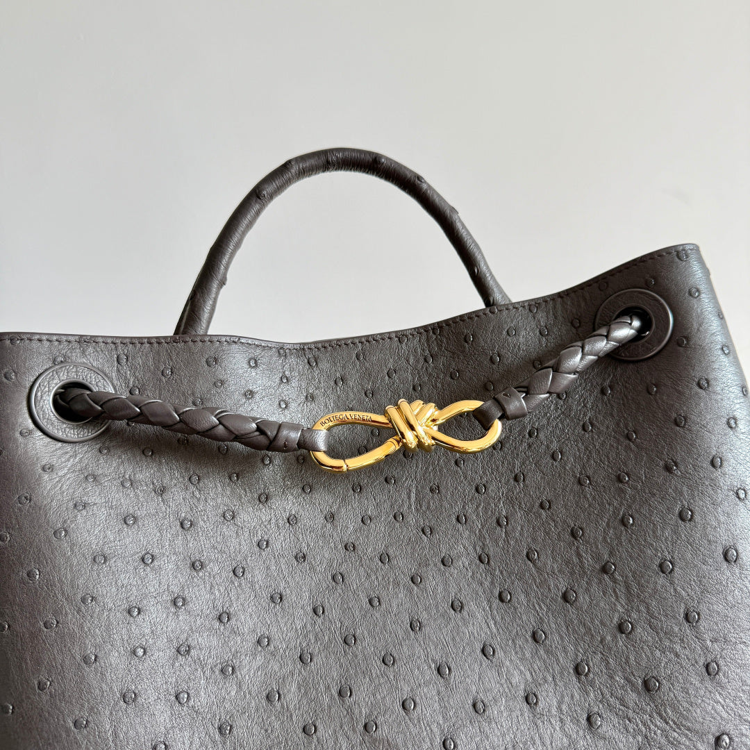Bottega Veneta 2026 Andiamo Bag Dark Brown Ostrich Leather