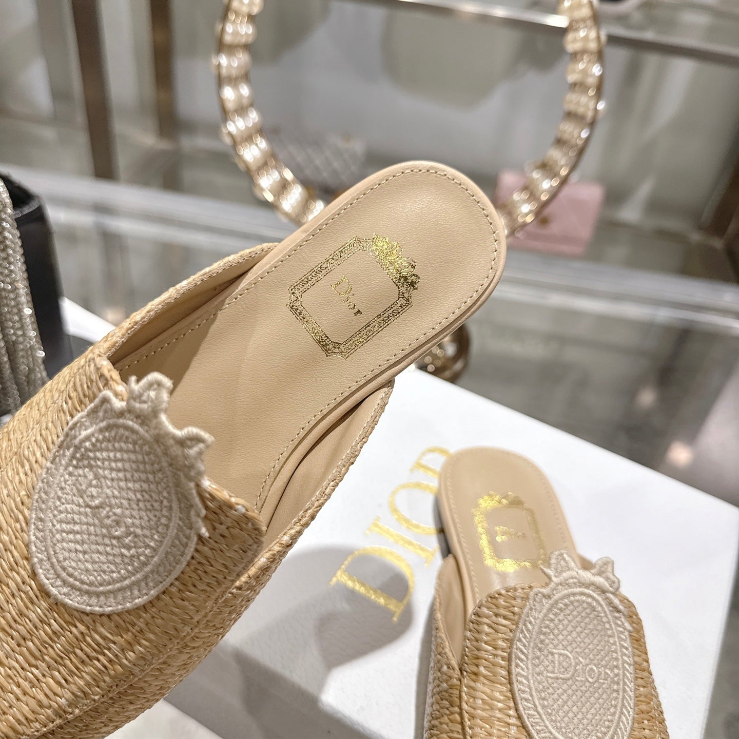 Dior 2026 D-Mdaillon Shoe Suede Raffia 855611