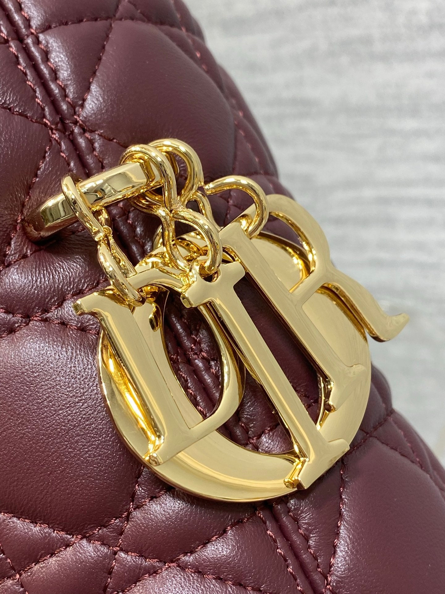 Dior 2026 Bag 27cm Multicolor Lambskin 355516