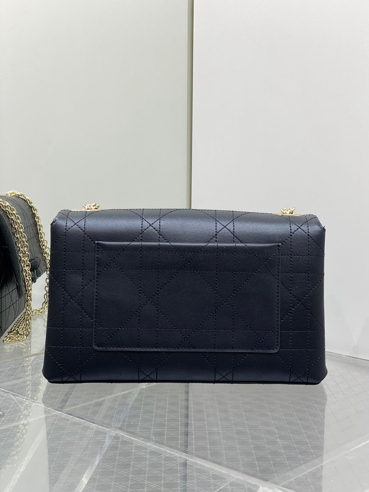 Dior 2026 Small Dior Promenade Flap Bag 25cm Leather Canvas 407157