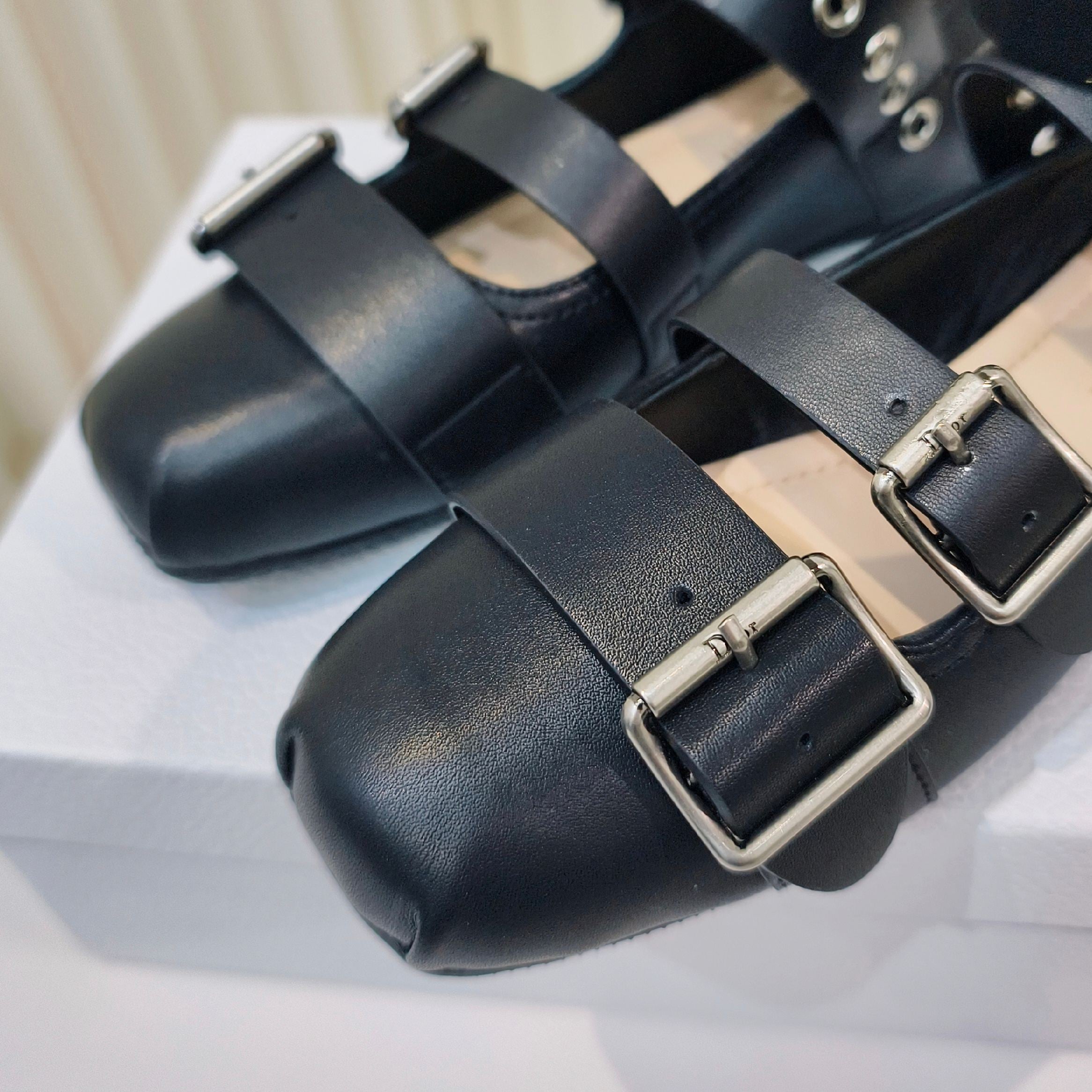 Dior 2026 Ankle Strap Ballet Flat Suede Calfskin 927876