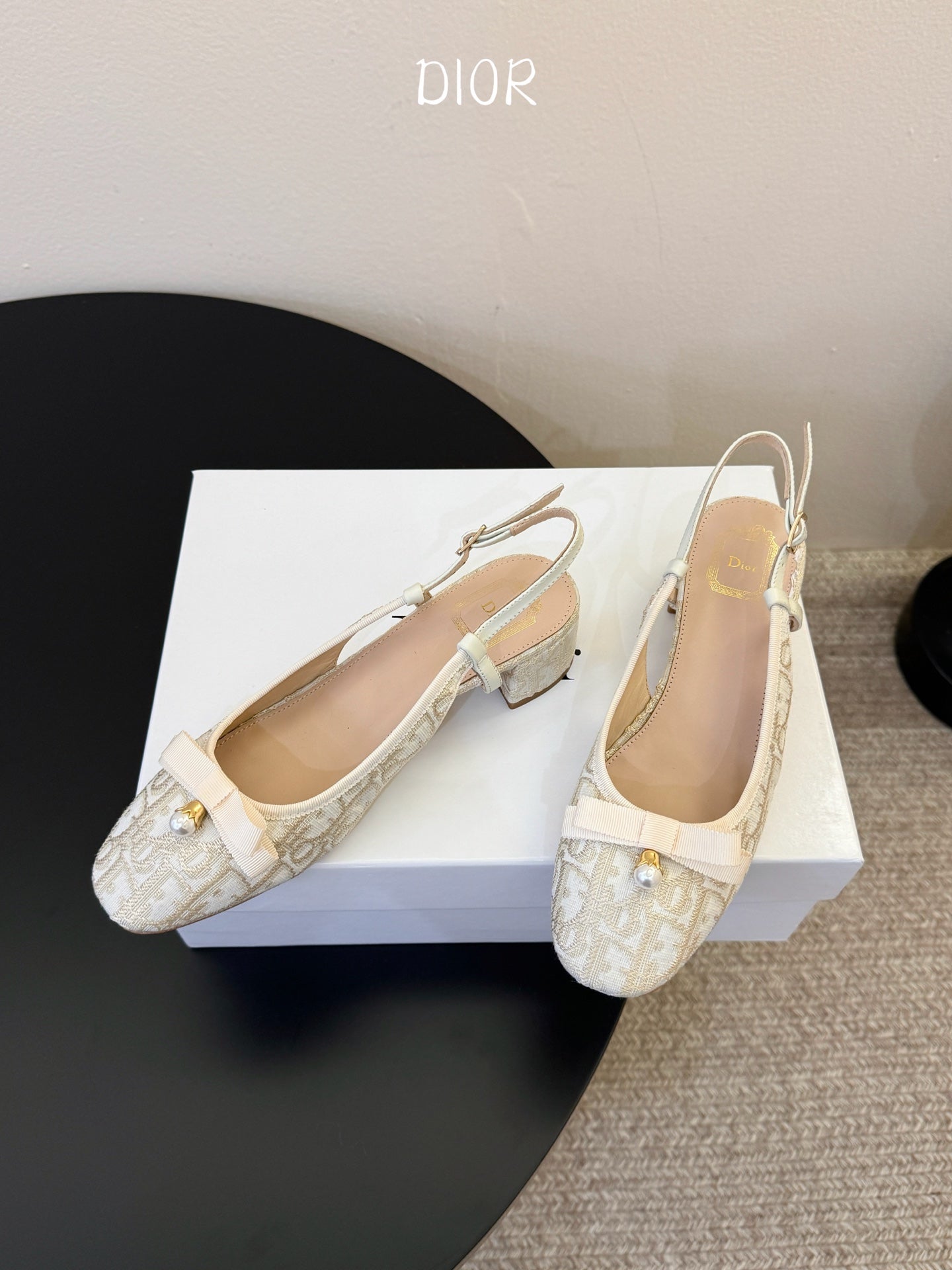 Dior 2026 Embroidered Slingback 30mm Cotton Leather 933329