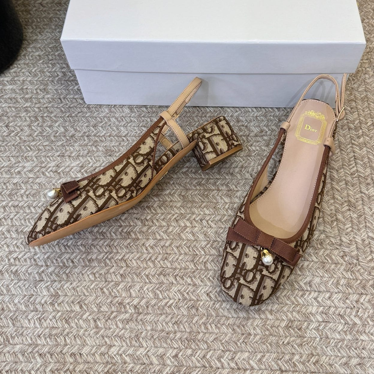 Dior 2026 Embroidered Slingback 30mm Cotton Leather 933329
