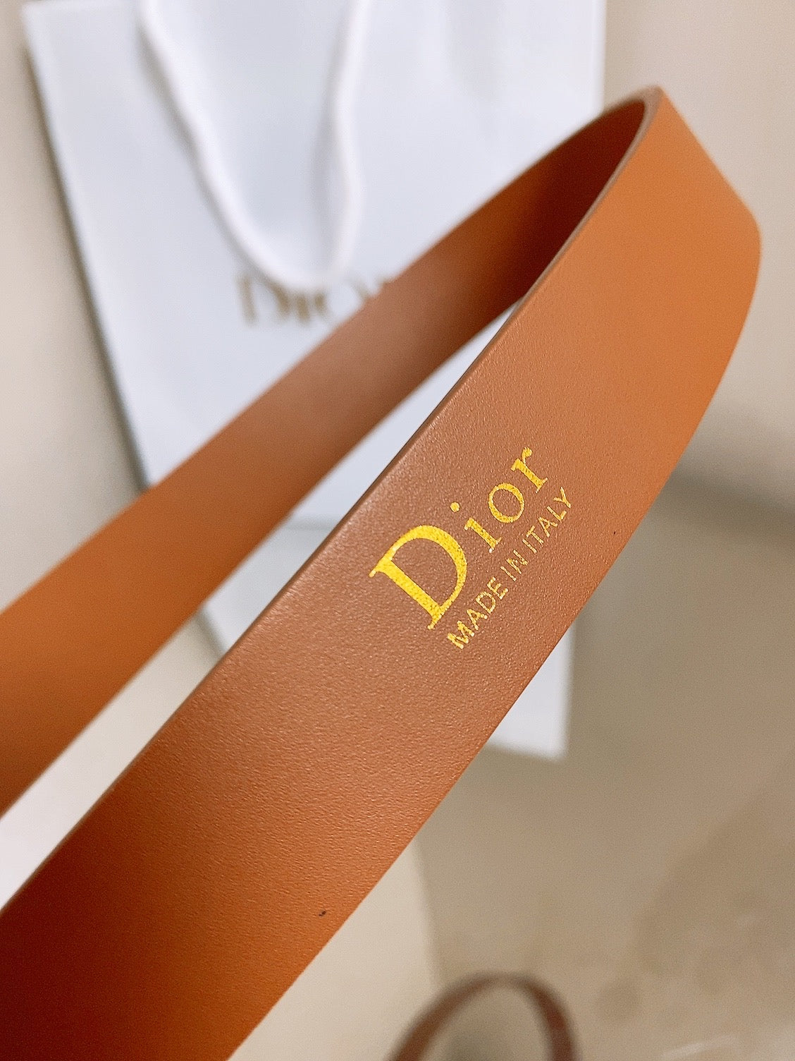 Dior 2026 Médaillon Belt 25mm Leather 216234