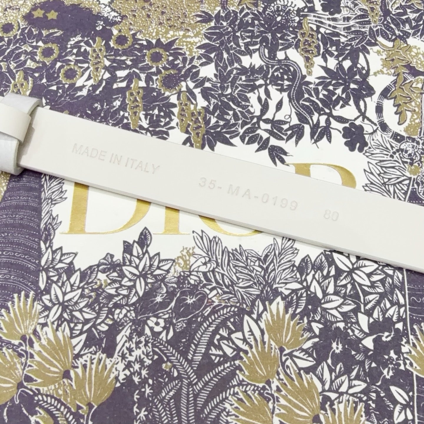 Dior 2026 Bow Belt 2.0cm Grain Cowhide