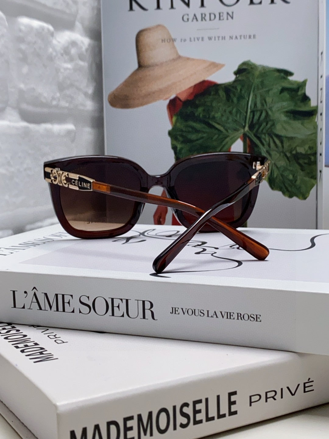 TRIOMPHE SUNGLASSES 573248 IN BROWN ACETATE METAL LOGO