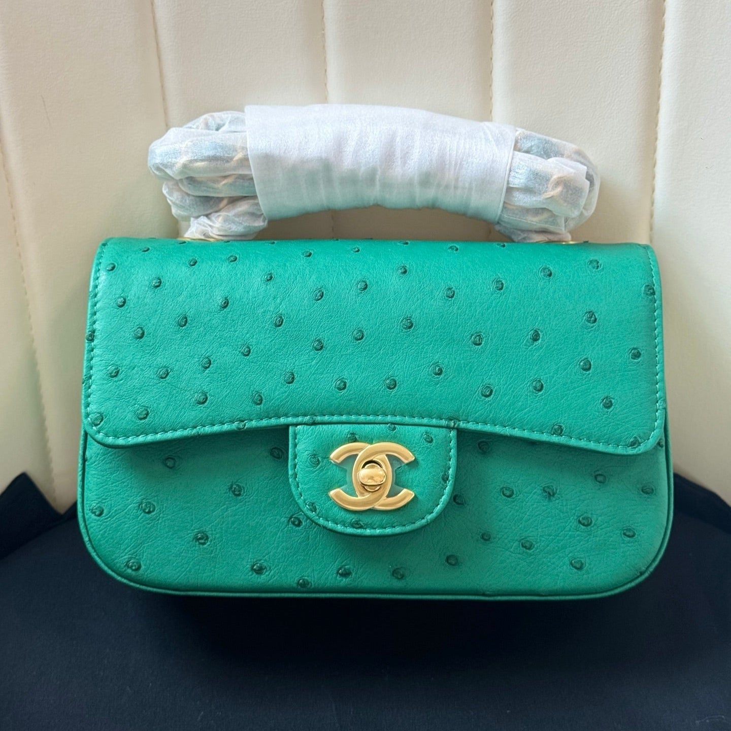 Chanel 2026 Flap Ostrich Embossed Bag 20cm Leather