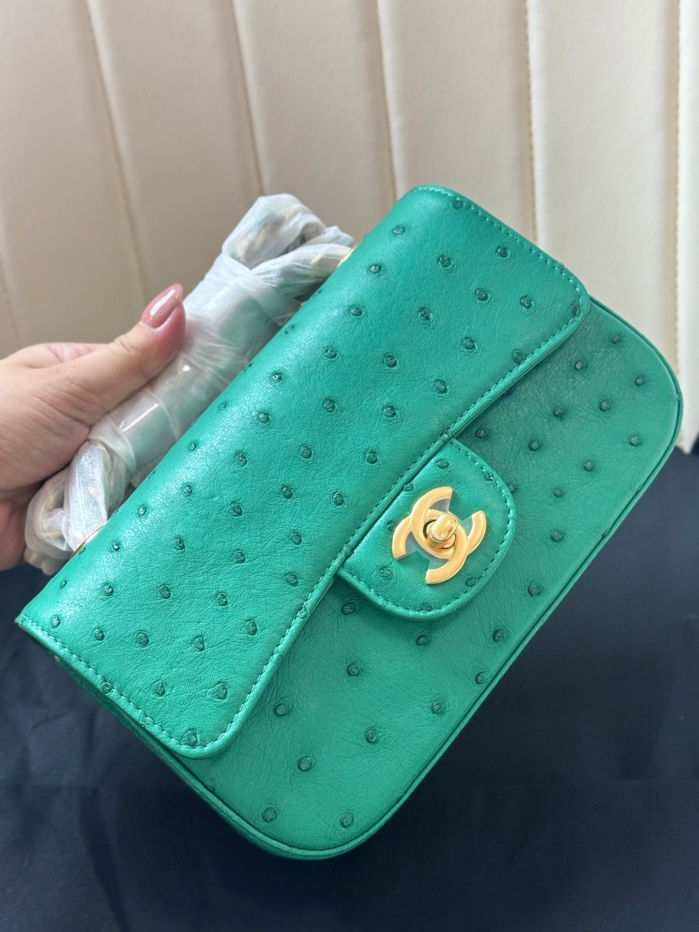 Chanel 2026 Flap Ostrich Embossed Bag 20cm Leather