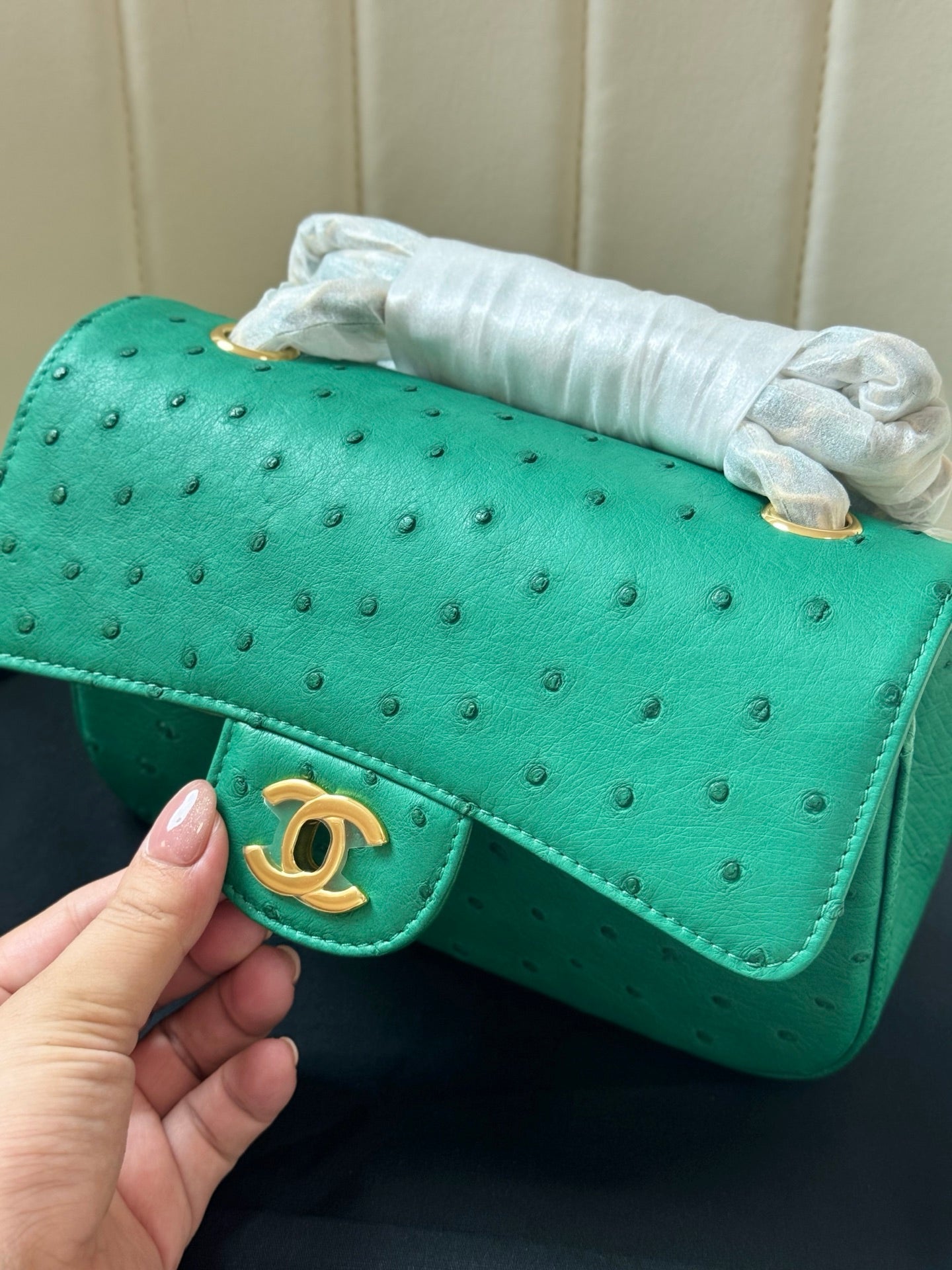 Chanel 2026 Flap Ostrich Embossed Bag 20cm Leather