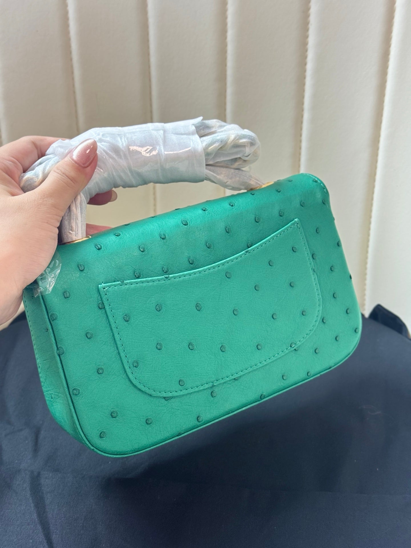 Chanel 2026 Flap Ostrich Embossed Bag 20cm Leather