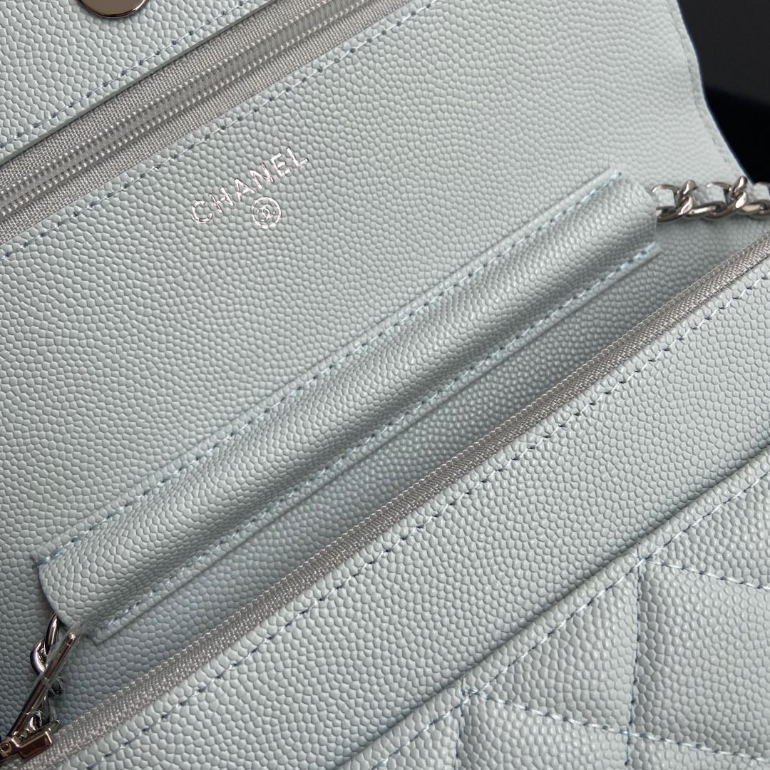 CC Woc 20cm Light Green Grained Calfskin Silver Hardware