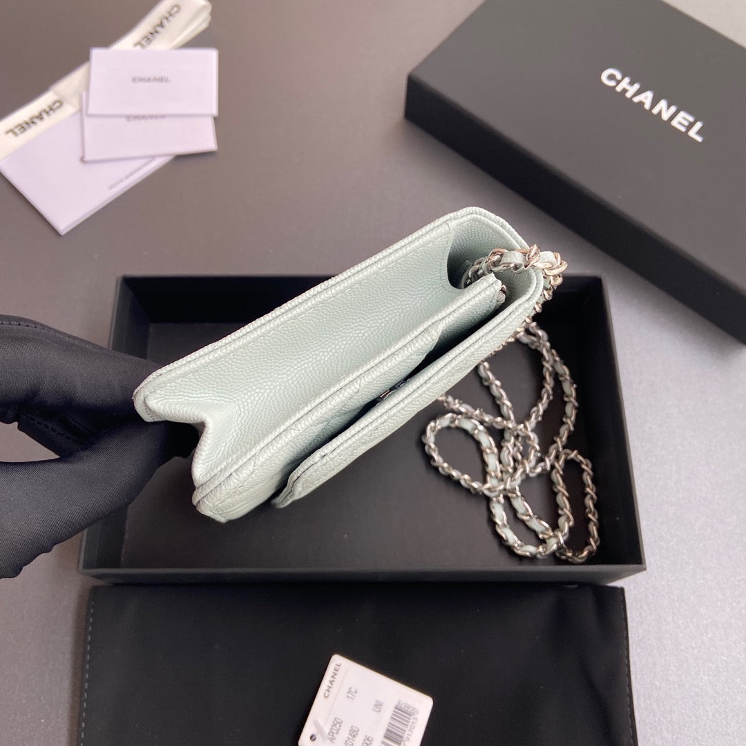 CC Woc 20cm Light Green Grained Calfskin Silver Hardware