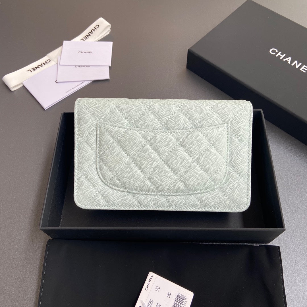 CC Woc 20cm Light Green Grained Calfskin Silver Hardware