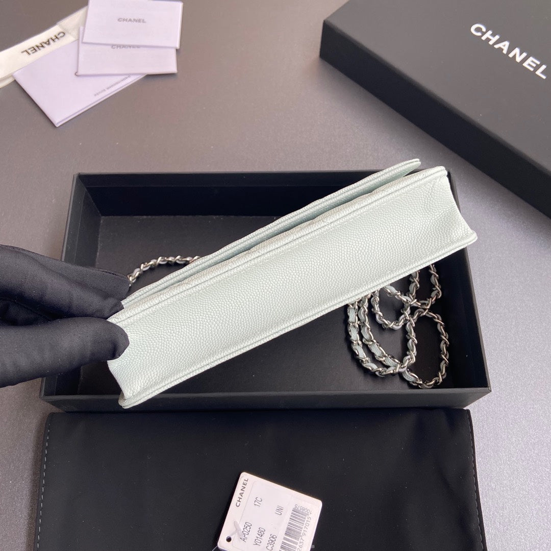 CC Woc 20cm Light Green Grained Calfskin Silver Hardware