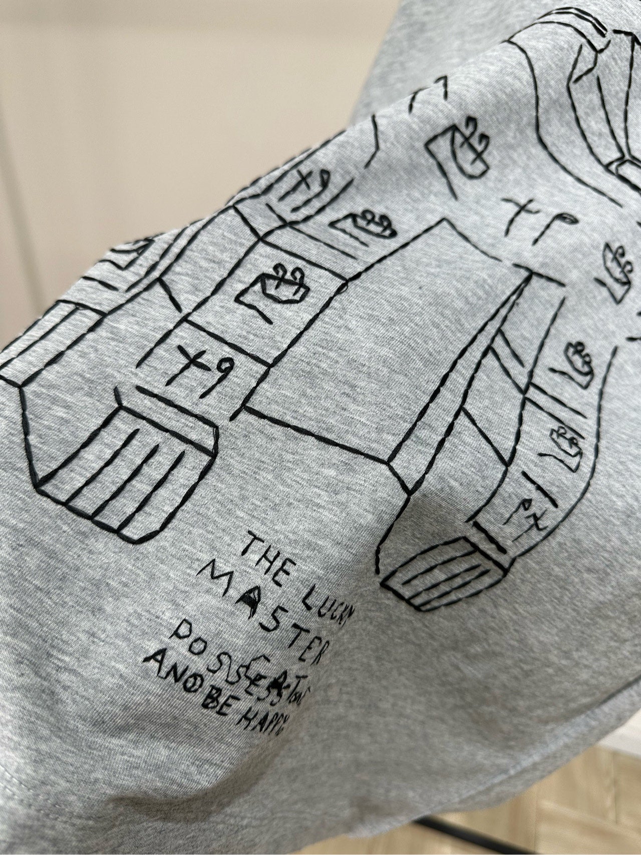 Loewe 2025 Cat-Themed Crew Neck Long-Sleeve T-Shirt Gray Cotton 327180