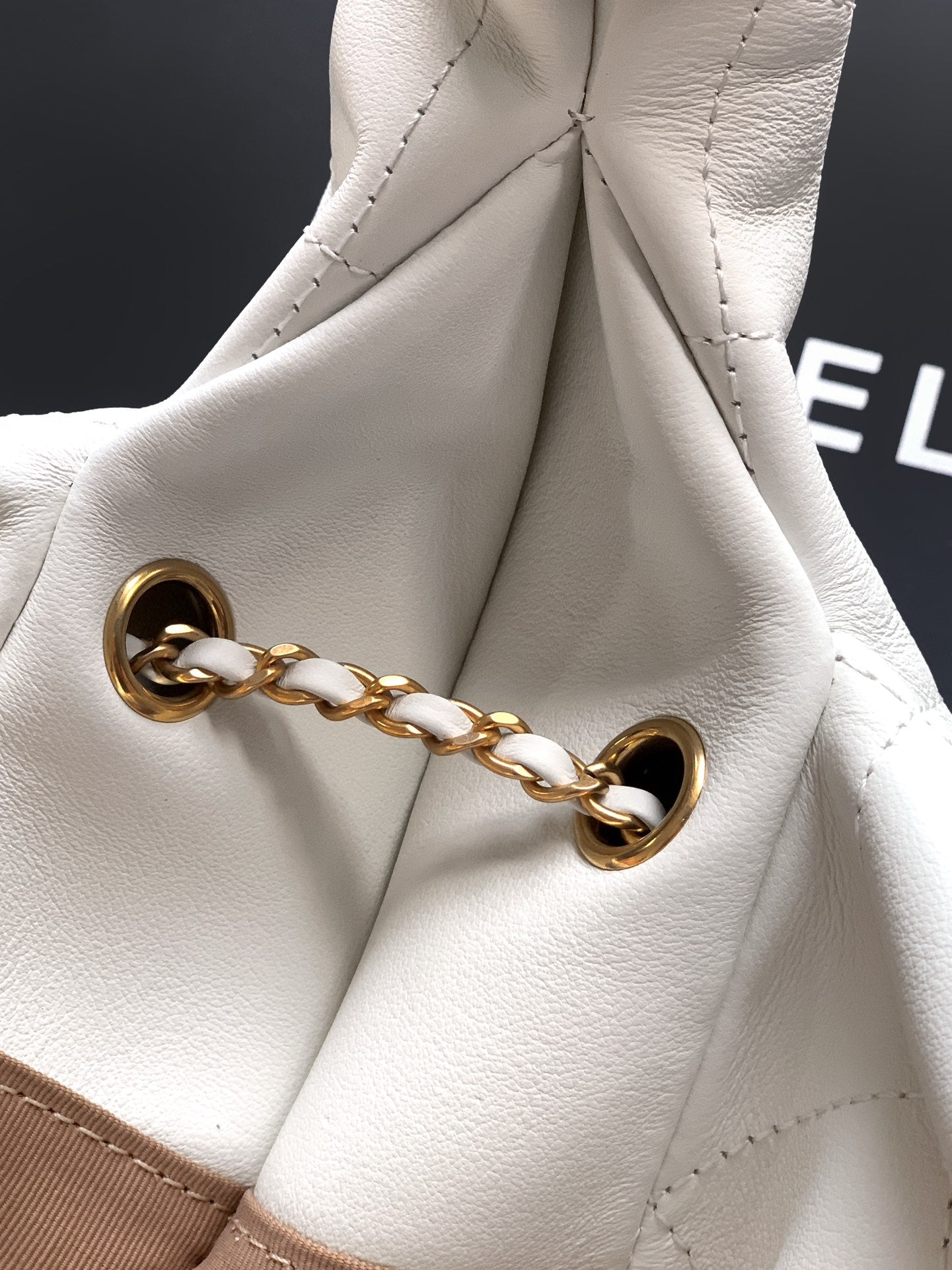 Chanel 2026 Hobo Bag 29cm White Calfskin