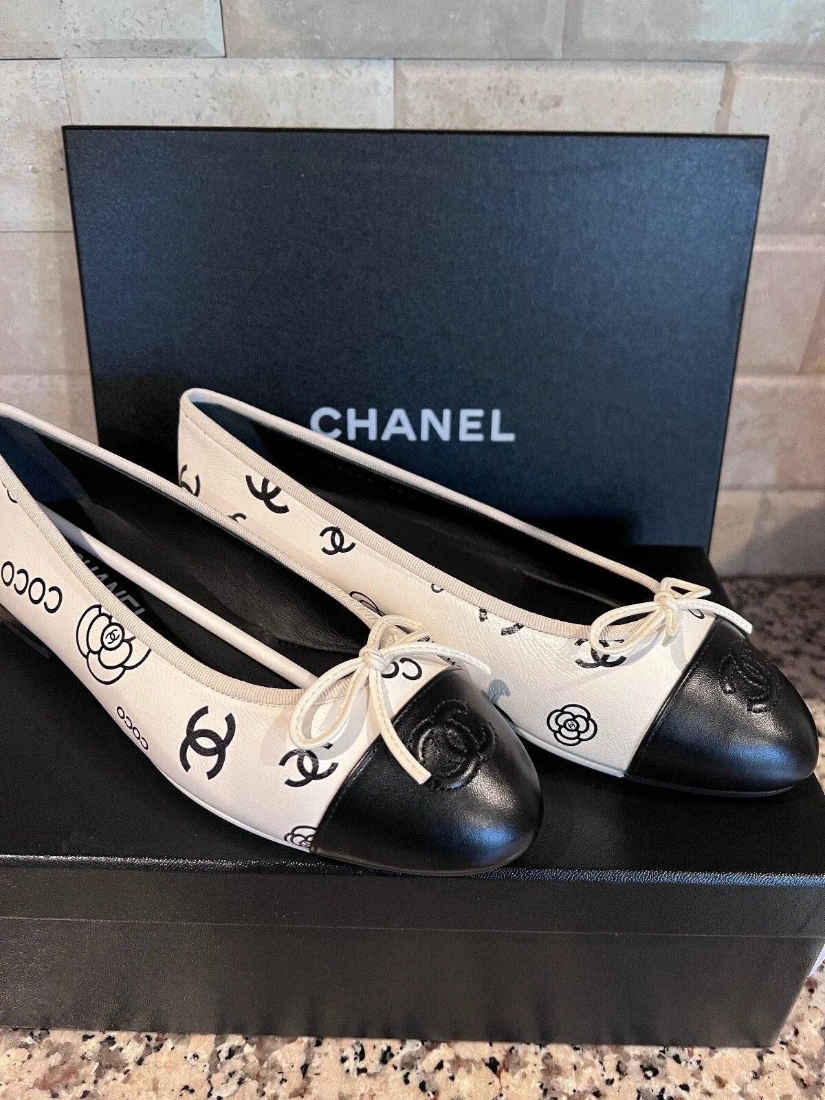 Chanel 2026 CC Logo Ballet Flat Leather